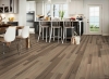 Picture of Bruce - Dundee Plank 3 1/4 Low Gloss Inviting Warmth