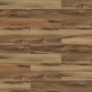 Picture of Shaw Floors - Respite Coretec Lodge