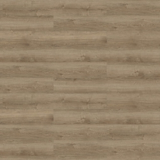 Picture of Shaw Floors - Respite Coretec Path