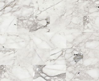 Picture of Daltile - Marble 3 x 6 Honed Venetian Calacatta