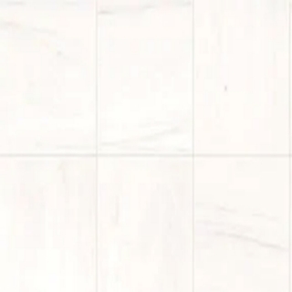 Picture of Daltile - Marble 12 x 12 Honed Contempo White