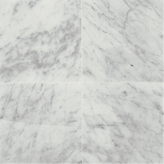 Picture of Daltile - Marble 12 x 24 Honed Carrara White