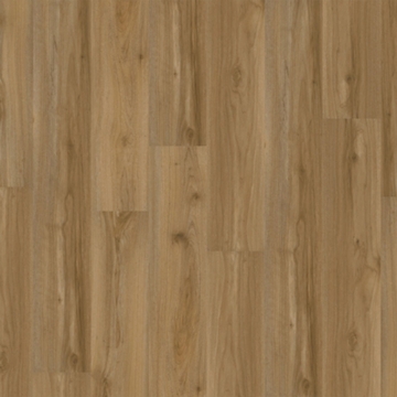 Picture of Chesapeake Flooring - ProSolutions SPC 20 Plank Rainfall