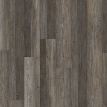 Picture of Chesapeake Flooring - ProSolutions SPC 20 Plank Timber Grove